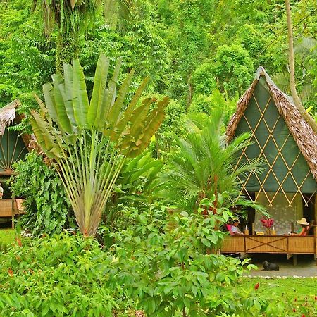 Finca Exotica Eco Lodge Carate Bagian luar foto