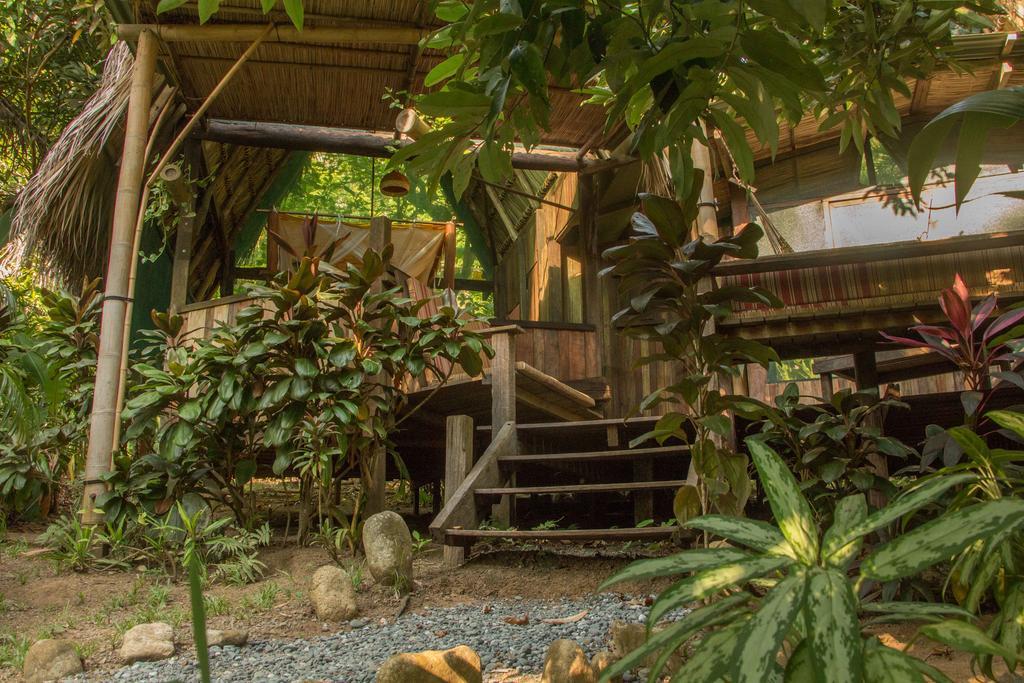 Finca Exotica Eco Lodge Carate Bagian luar foto