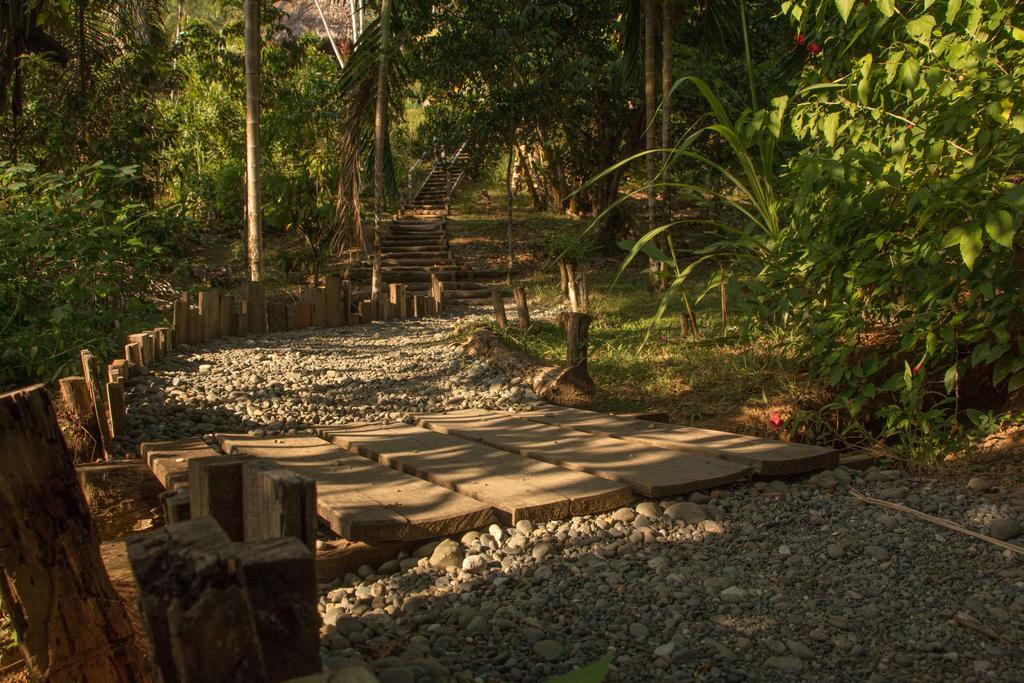 Finca Exotica Eco Lodge Carate Bagian luar foto