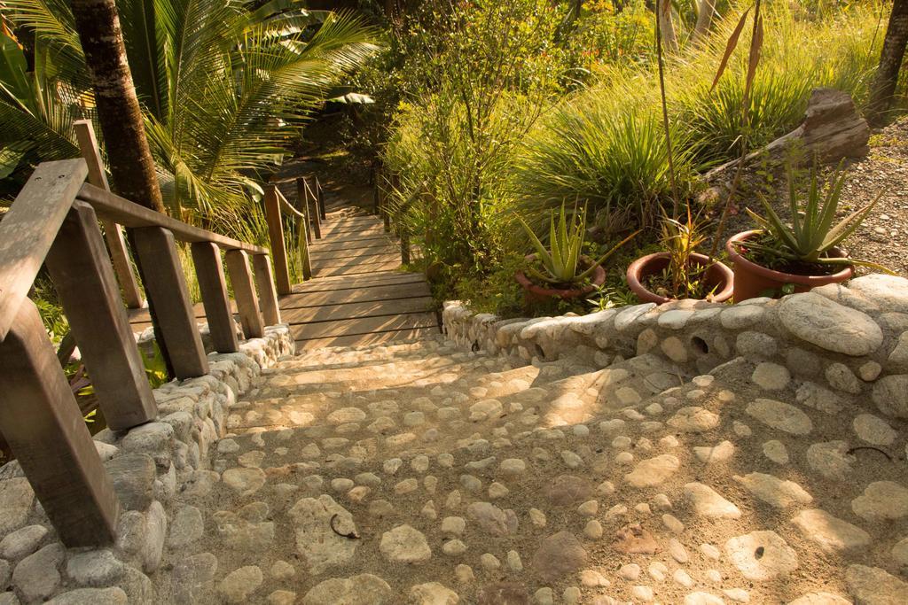 Finca Exotica Eco Lodge Carate Bagian luar foto