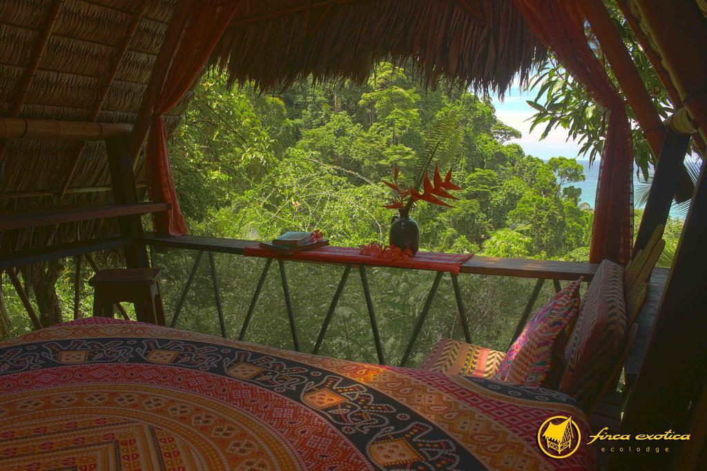 Finca Exotica Eco Lodge Carate Bagian luar foto