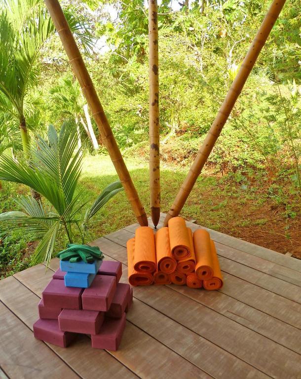 Finca Exotica Eco Lodge Carate Bagian luar foto