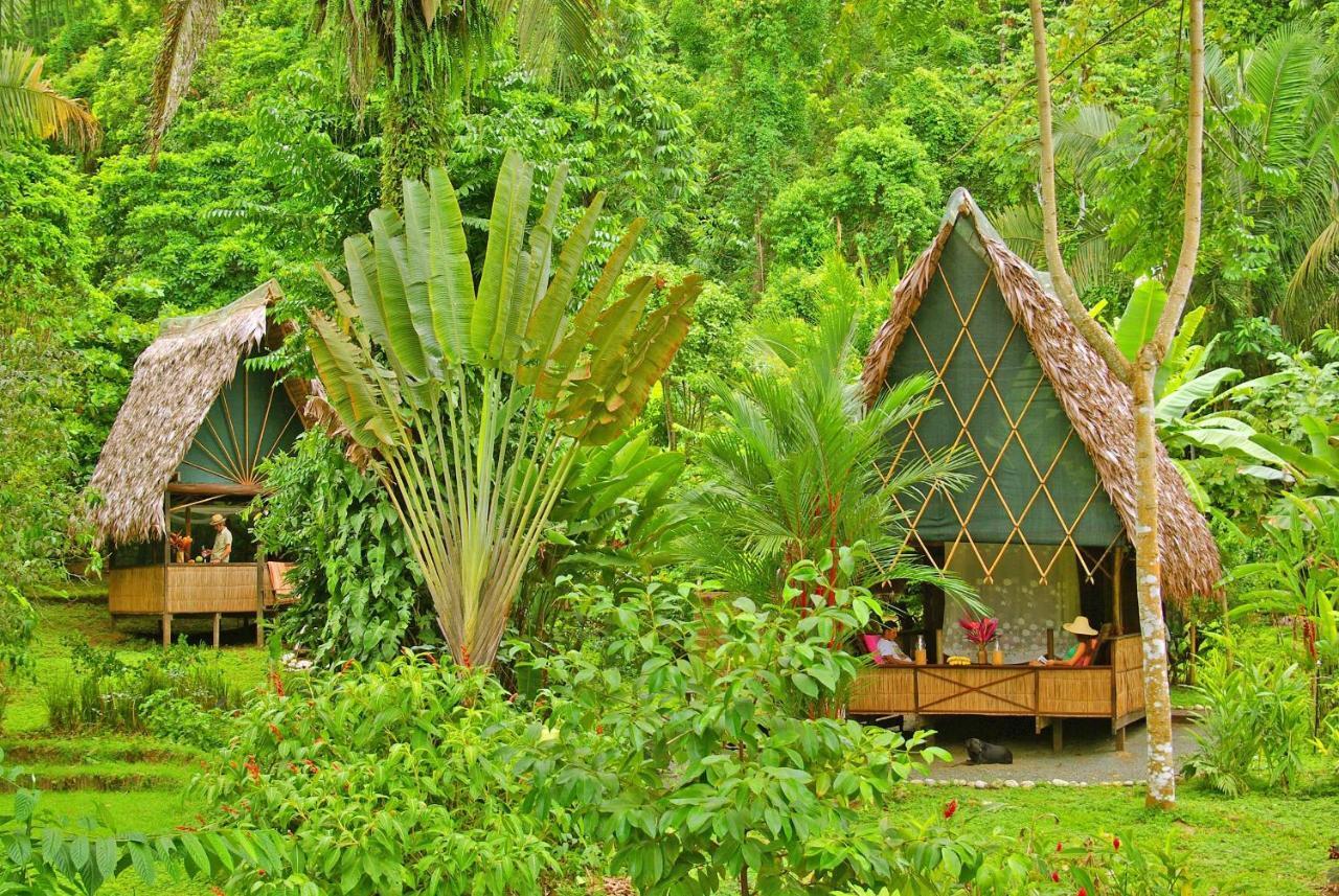 Finca Exotica Eco Lodge Carate Bagian luar foto
